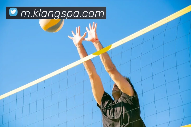 pa视讯平台生态图